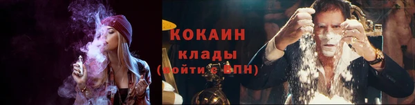 дурь Вяземский