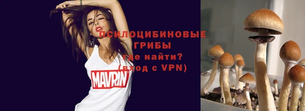 apvp Зеленокумск