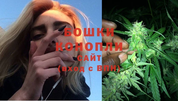 дурь Вяземский