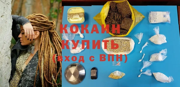 дурь Вяземский