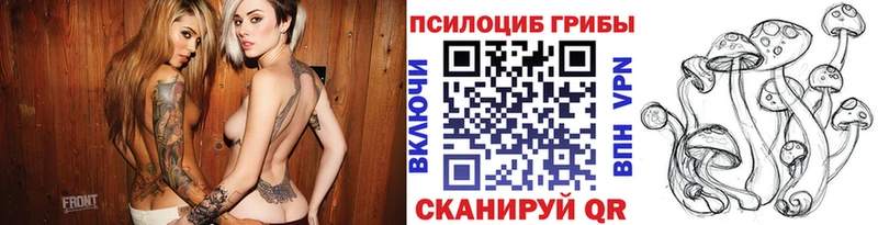 Псилоцибиновые грибы мухоморы  kraken зеркало  Кольчугино  даркнет сайт 